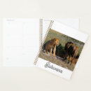 Search for botswana office supplies Lions