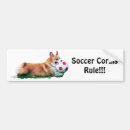 Search for welsh bumper stickers Puppies