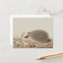 Search for hedgehog postcards Antique