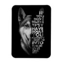 Search for husky magnets Huskies