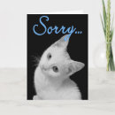 Search for turkish cards Cat