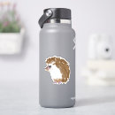 Search for water bottles stickers Vinyl