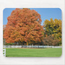 Search for oak mousepads Nature