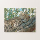 Search for leopard puzzles Cat