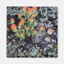 Search for gem magnets Usa
