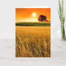 Search for red sunset cards Photography