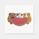 Search for guinea pigs napkins Rodent