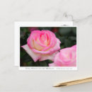 Search for princesse postcards Flower