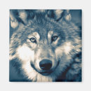Search for grey wolf magnets Canine