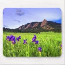 Search for denver electronics Boulder
