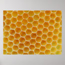 Search for api posters Hive