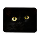 Search for eye magnets Cat eyes