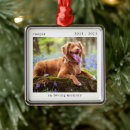Search for elegant pet memorial ornaments In loving memory