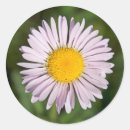 Search for mounting stickers Cascade range