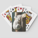Search for koala playing cards Australian animals