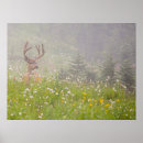 Search for black deer posters Buck