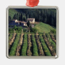 Search for tuscany christmas tree decorations Outdoor
