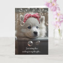 Search for samoyed dog postcards Puppy