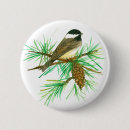 Search for chickadee badges Maine state bird