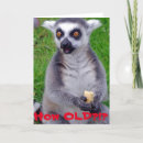 Search for lemurs Fun