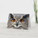 Search for wise cards Nature
