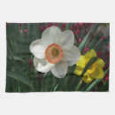 Search for daffodils tea towels Flower
