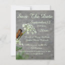 Search for white hummingbird invitations Nature