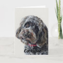 Search for curly dog cards Puppy