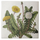 Search for engrave tiles Flowers