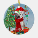 Search for siberian husky christmas tree decorations Animal
