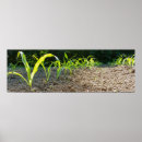 Search for new earth posters Green