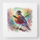 Search for robin clocks Animals