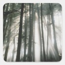 Search for mount stickers Outdoor