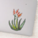 Search for blooming cactus stickers Garden