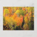 Search for fall valley Autumn