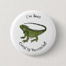 Search for iguana badges Mexico