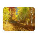 Search for forest walk magnets Trail