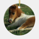 Search for miniature horse christmas tree decorations Equestrian