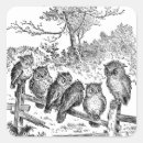 Search for black and white owl stickers Birds