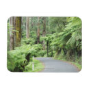 Search for ranges magnets Tranquil scene