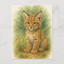 Search for young postcards Forest