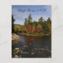 Search for swiftness New hampshire