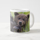 Search for brown bear cub mugs Animals in the wild