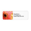 Search for orange daisy return address labels Daisies