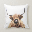 Search for scottish cushions Calf