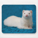 Search for weasel mousepads Ferret