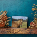 Search for horse plaques Ranch