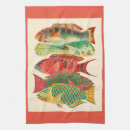 Search for colorful placemats Illustration