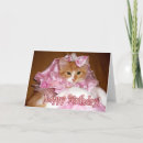 Search for pretty cat birthday cards Cute