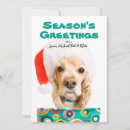 Search for presentation cards Dog